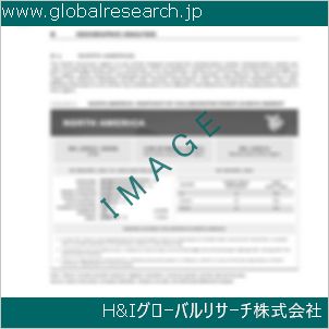 グローバルリサーチ調査資料のイメージ